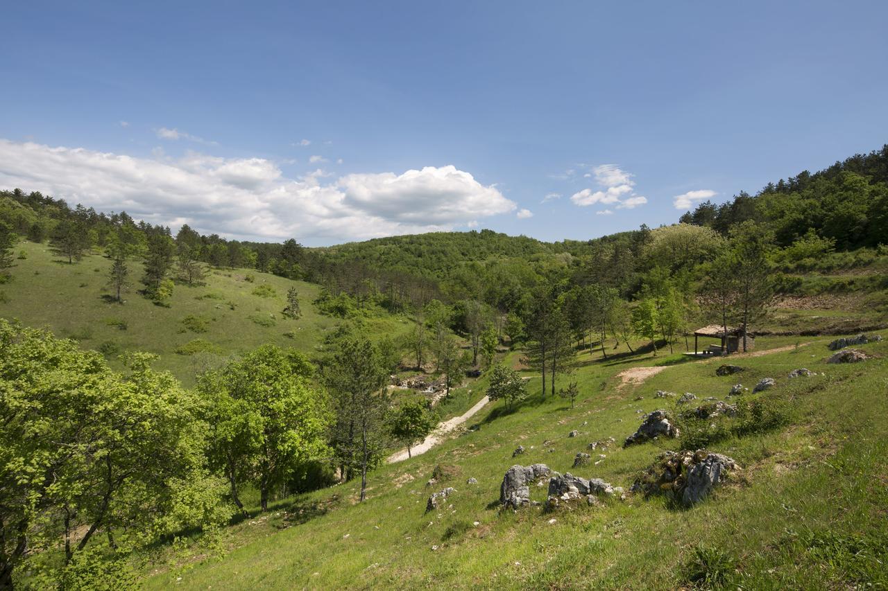Resort Čiže Pazin Eksteriør bilde